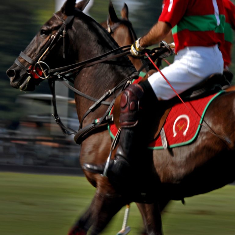 Queens Cup, Guards Polo Club – Smiths Lawn – Reportage Photography – Annabel Moeller