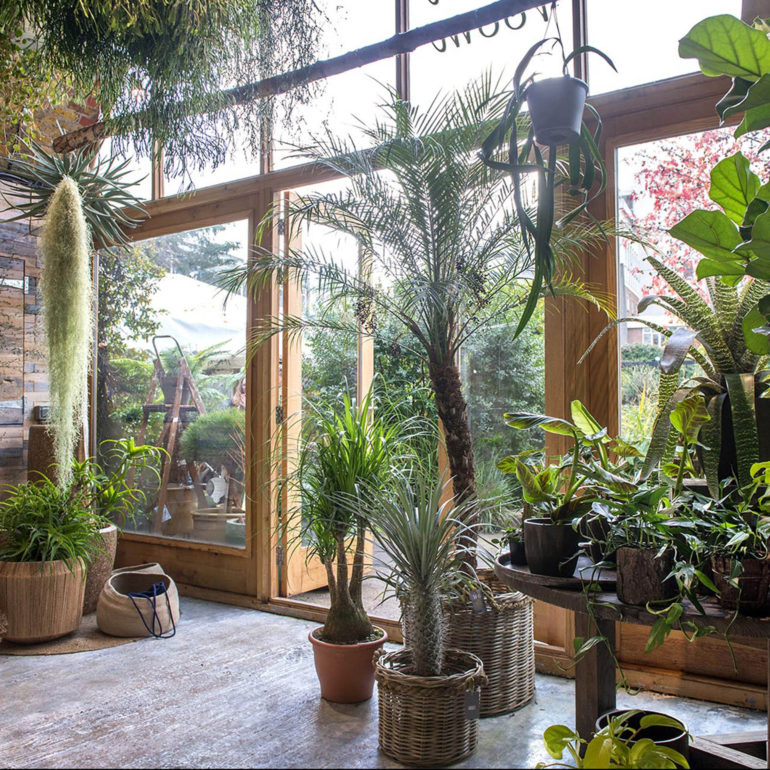 W6 Garden Centre – Reportage Photography – Annabel Moeller
